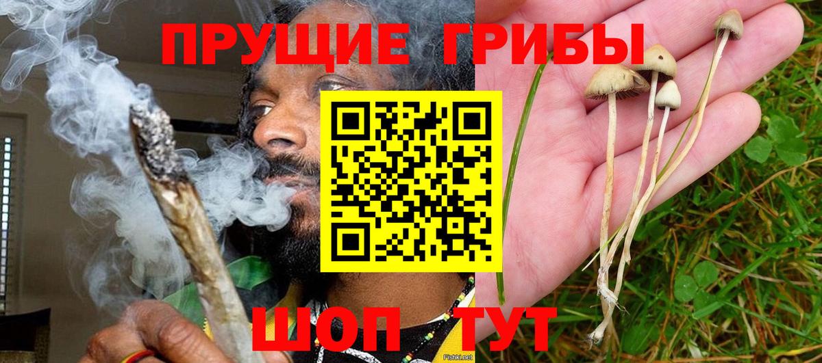Галлюциногенные грибы ЛСД Ухта