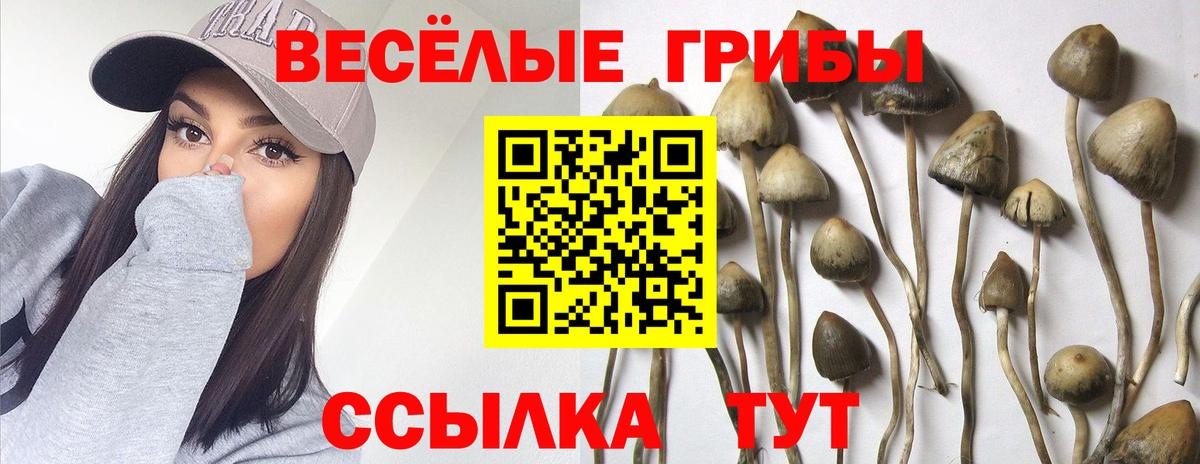 Псилоцибиновые грибы Psilocybe  Псилоцибиновые грибы Cubensis  Ухта  Вход с VPN 